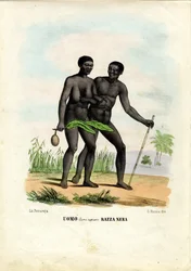 Gente negra, 1863-79